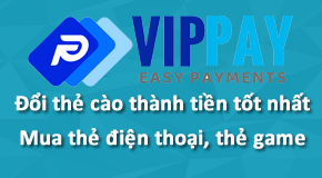 Giới thiệu về hệ thống của VIPPAY